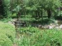 11&#039; x 16&#039; Pond with Mature Landscaping